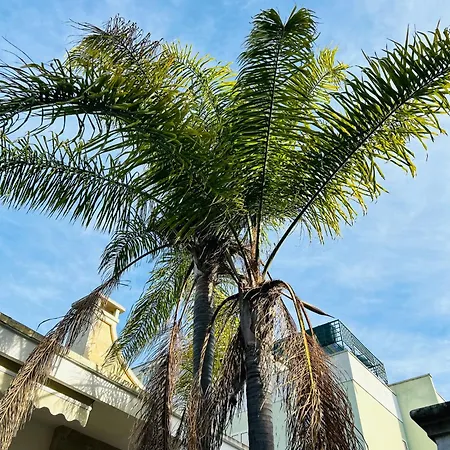 Le Palme *